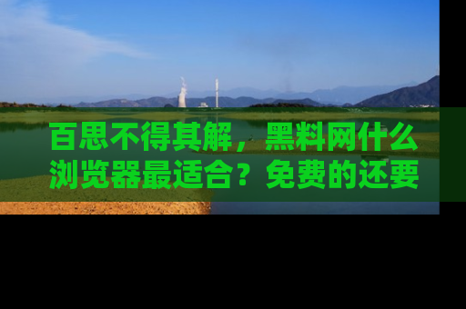 百思不得其解,黑料网什么浏览器最适合?免费的还要能吃瓜太难了!