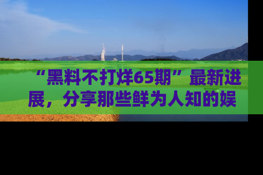 “黑料不打烊65期”最新进展，分享那些鲜为人知的娱乐八卦