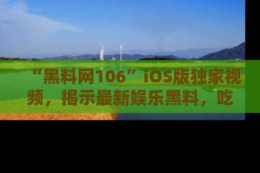 “黑料网106”iOS版独家视频，揭示最新娱乐黑料，吃瓜不停！