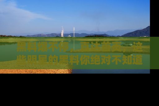 黑料爆不停，直达首页，这些明星的黑料你绝对不知道！