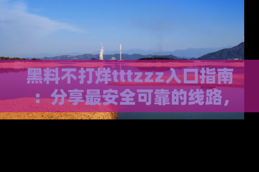 黑料不打烊tttzzz入口指南：分享最安全可靠的线路，轻松获取最新八卦！