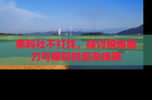 黑料社不打烊，探讨网络暴力与爆料的复杂线路