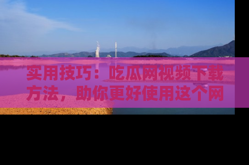 实用技巧:吃瓜网视频下载方法,助你更好使用这个网站