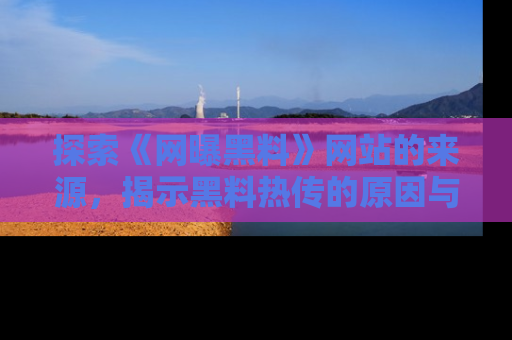 探索《网曝黑料》网站的来源,揭示黑料热传的原因与影响