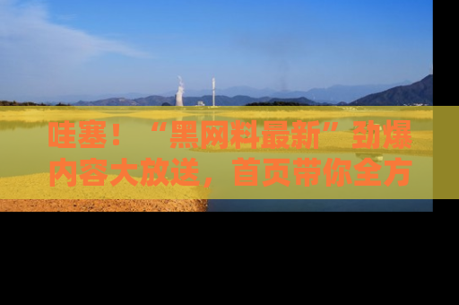 哇塞!“黑网料最新”劲爆内容大放送,首页带你全方位了解哦,小可爱们