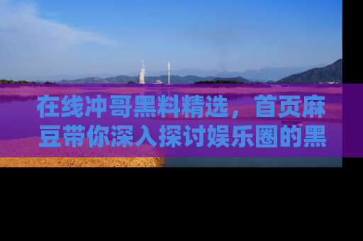 在线冲哥黑料精选，首页麻豆带你深入探讨娱乐圈的黑暗面