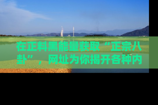 在正料黑能量获取“正宗八卦”,网址为你揭开各种内幕故事!