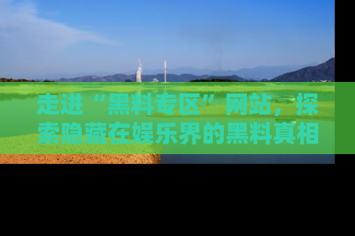 走进“黑料专区”网站,探索隐藏在娱乐界的黑料真相